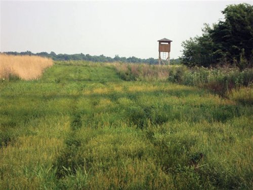 Property photo 1 - 114+/- Acres Offered in 4 Tracts